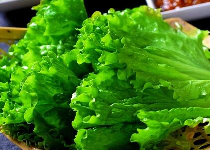 新鮮蔬菜配送:生菜